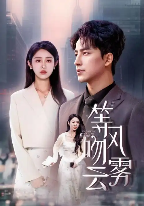 雾港迷局 热播电视剧全集免费观看